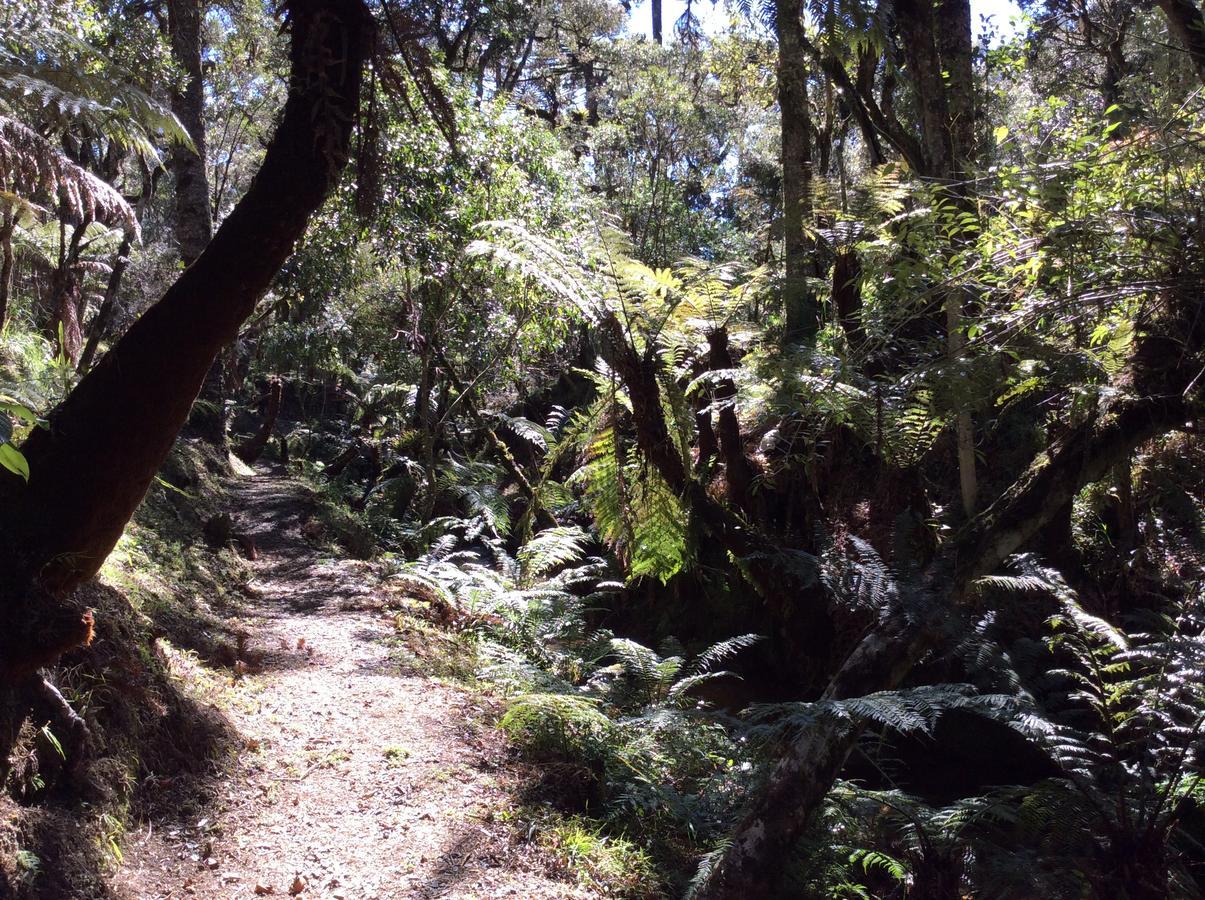 Chales Do Ferradura Campos do Jordão Zewnętrze zdjęcie