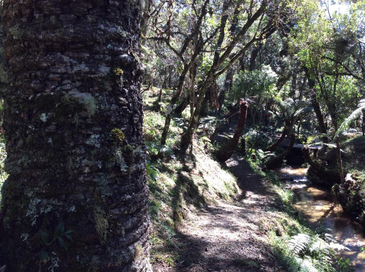 Chales Do Ferradura Campos do Jordão Zewnętrze zdjęcie